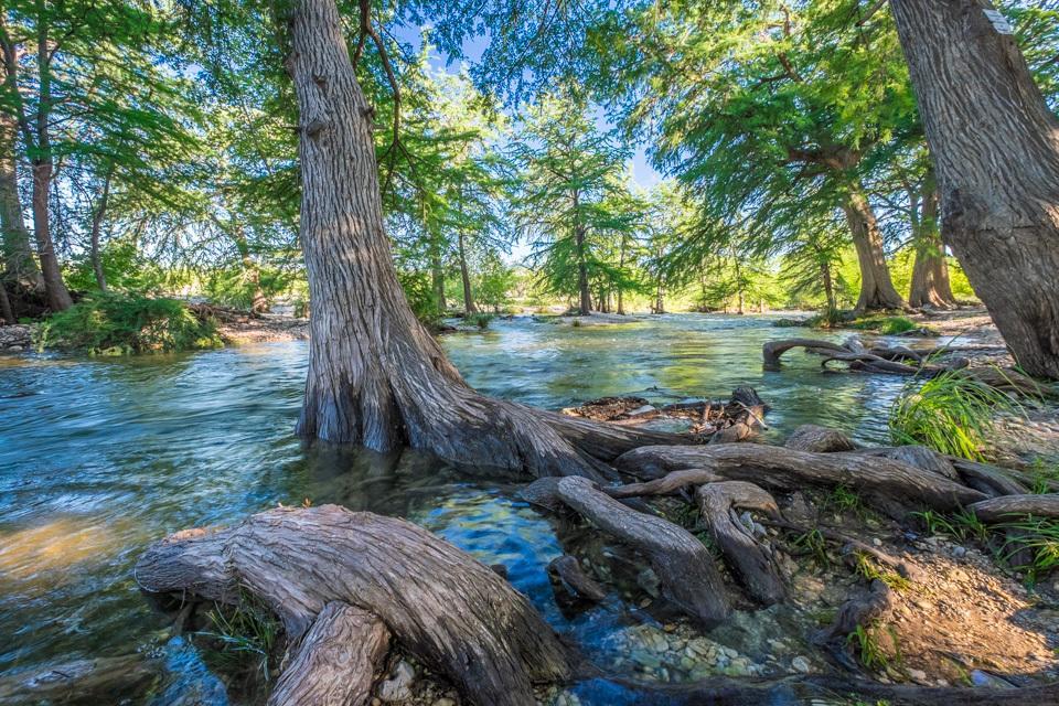 River Bluff Cabins Rio Frio Kültér fotó
